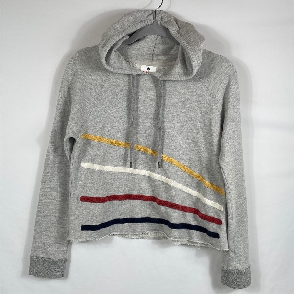 Sundry Heather Gray Cropped Hoodie. Size 1, Medium. Has raised graphic lines.‎